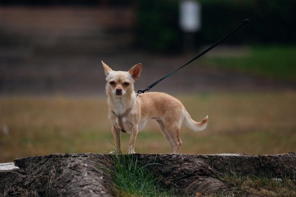 Orthodontiste expert à nanterre : des solutions invisibles pour tous